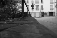 DSC0019