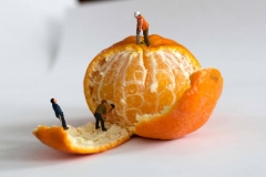 Mandarine